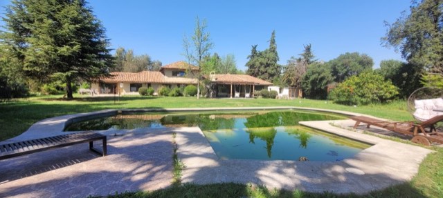Castanos de Chicureo